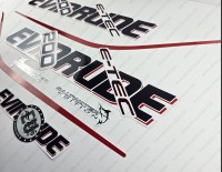 Evinrude 200HP E-tec (90° V6, 3.3L) White Cowling Outboard Decal Kit